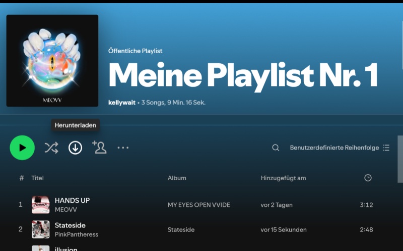 Alle Ihre Lieblingssongs im Stapel auf den PC herunterzuladen