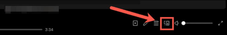 Connect-Symbol in Spotify