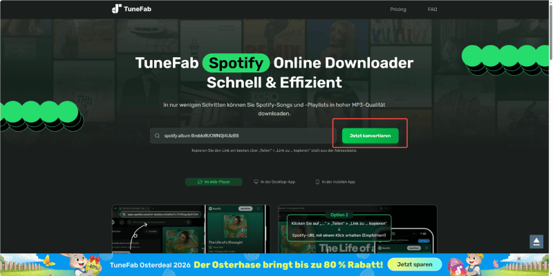 Die Konvertierung bei TuneFab Online-Tool starten