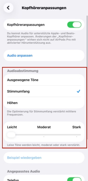 Equalizer-Stil in Audioanpassung auf iOS