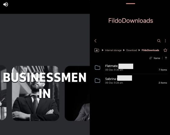 Fildo Spotify Music Converter