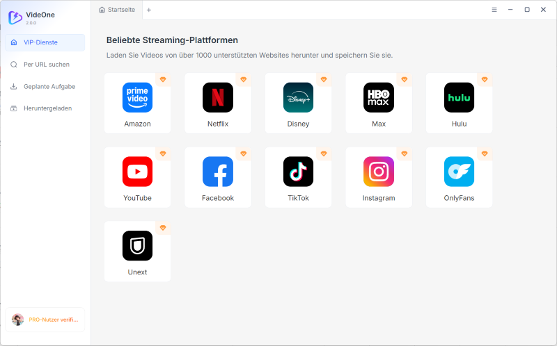 Hauptseite von VideOne Downloader