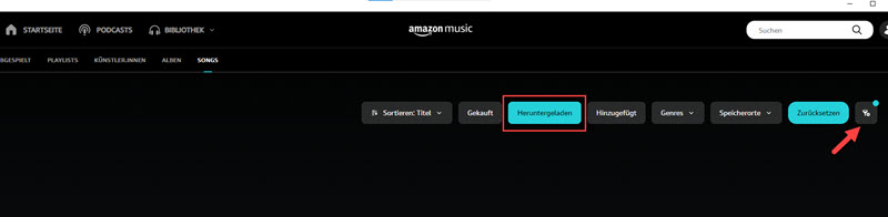 Heruntergeladene Musik auf Computer offline hören