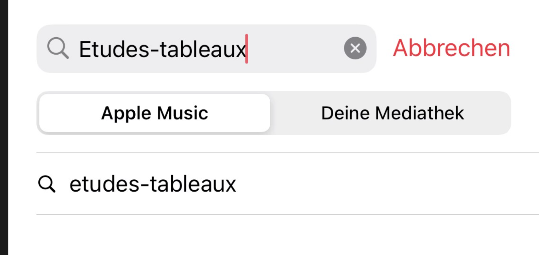 gezieltes Song oder Album suchen