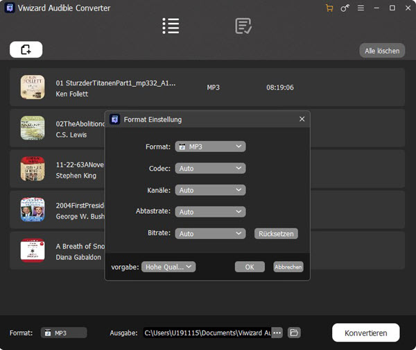 MP3 als Audioausgabeformat bei ViWizard auswählen