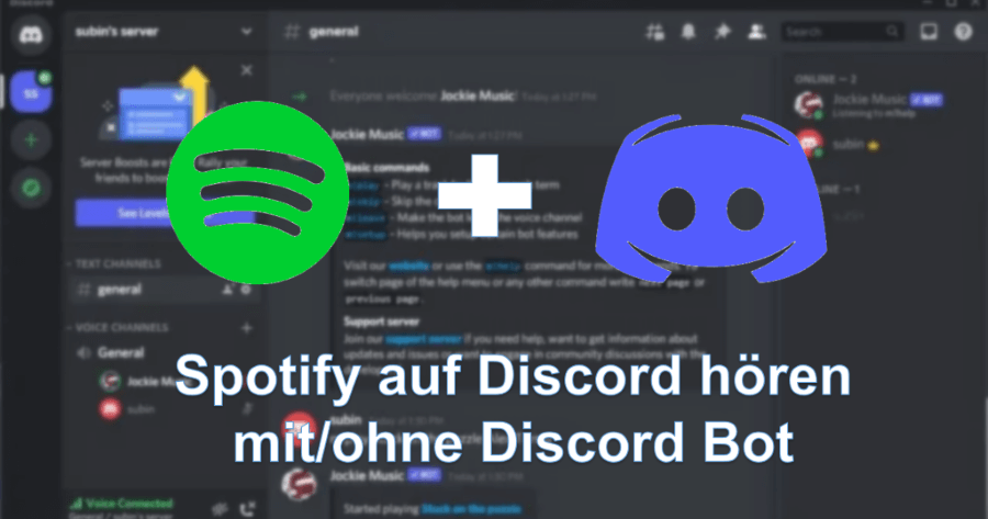 Spotify auf Discord hören