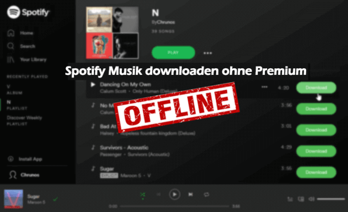 Spotify Musik downloaden ohne Premium