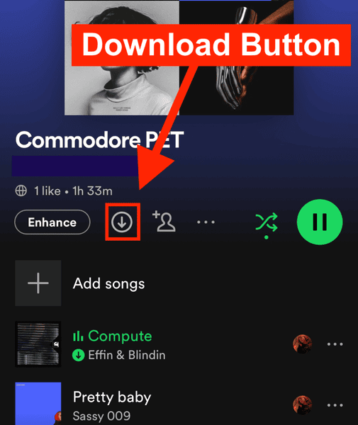 Spotify Playlist downloaden bei Mobile App