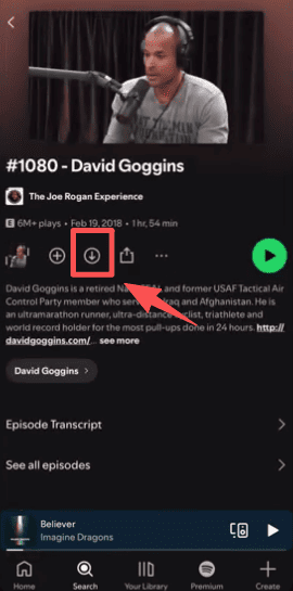 Spotify-Podcasts herunterladen auf iOS