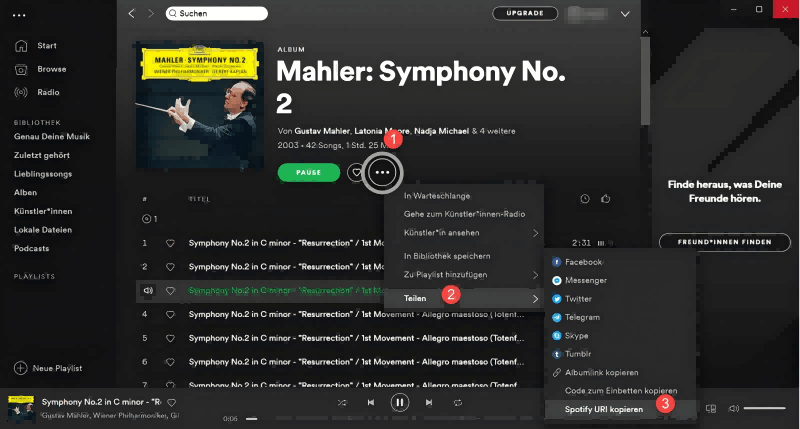 Spotify-URL kopieren